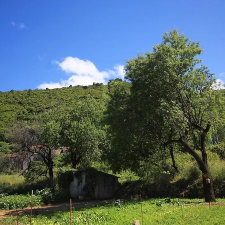 By The Sea Racisce, Korcula - 9337 Apartment Račišće