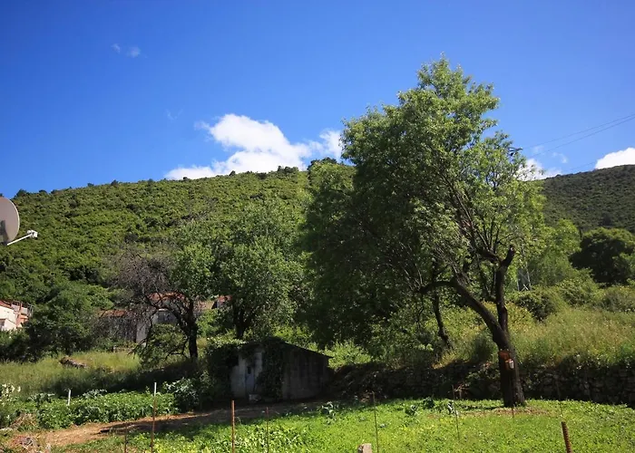 By The Sea Racisce, Korcula - 9337 아파트 Račišće